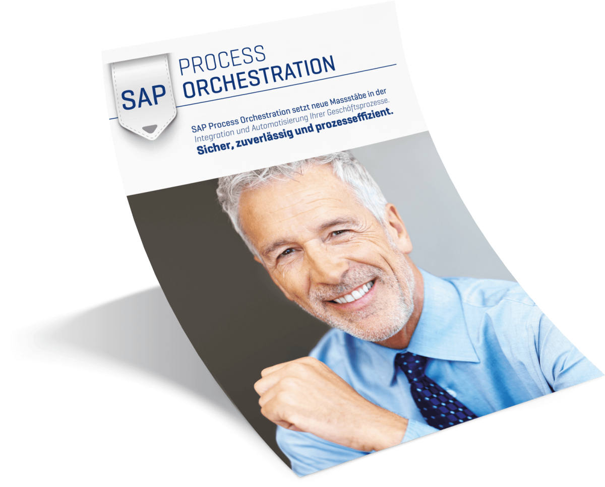 PI SAP | Neue Massstäbe bei Process Integration  - Flyer Abbild