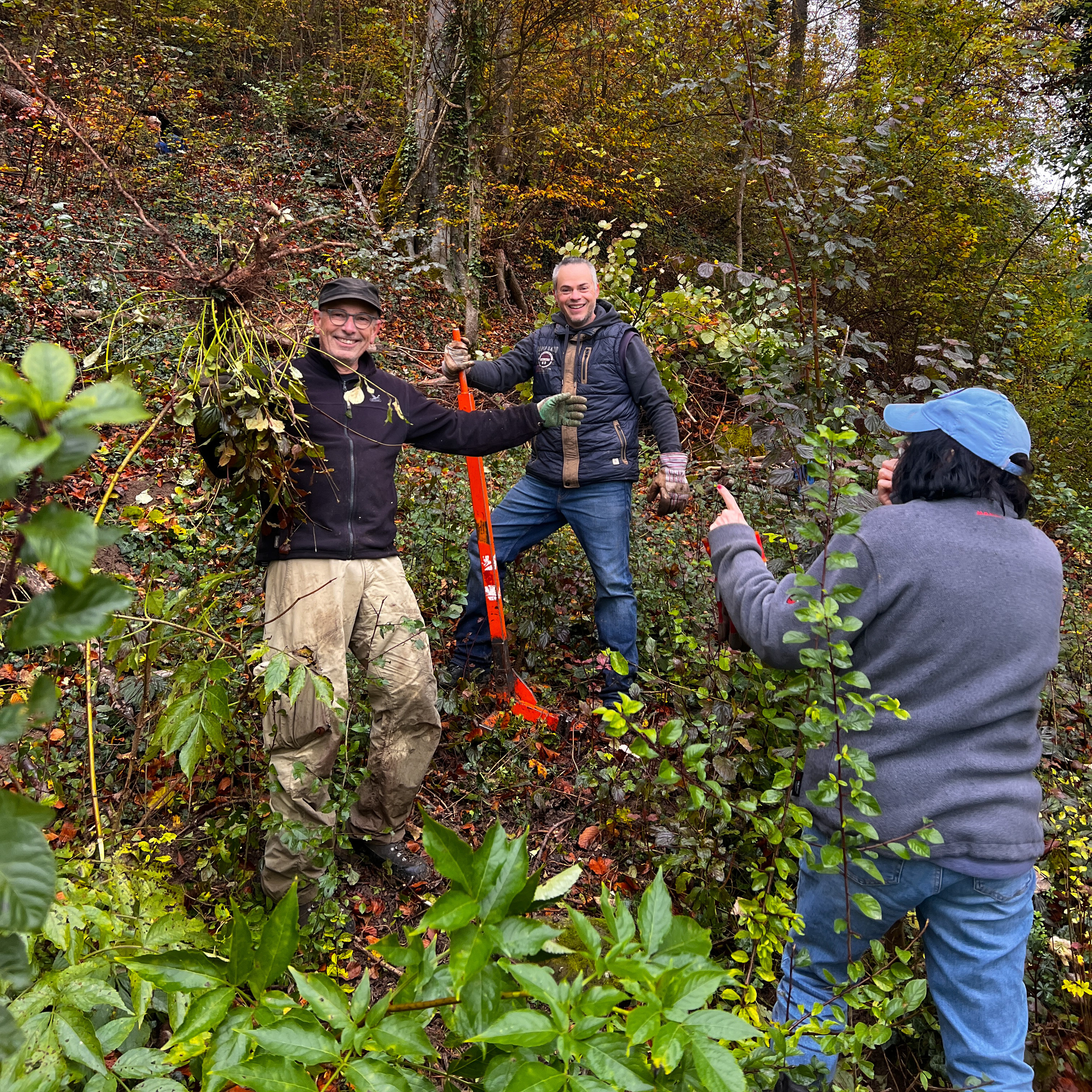 Innflow Mitarbeitende im Wald bei einem Natureinsatz von WWF