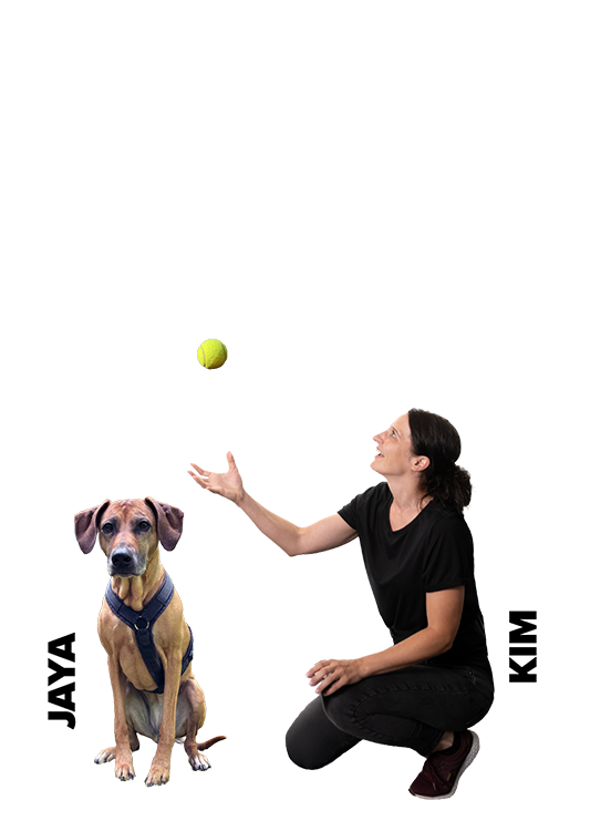 Mitarbeiterin Kim wirft einen Tennisball in die Luft. Neben ihr sitzt ihr Hund Jaya. Oberhalb von ihr ist eine Sprechblase mit dem Zitat: "Gute Ideen bekommen hier fruchtbaren Boden."